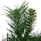 24" Dakota Red Pine Artificial Wreath with Pinecones